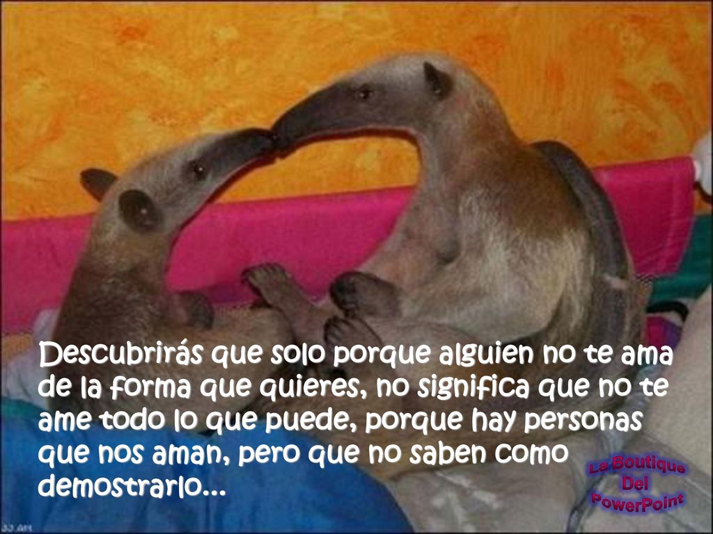 Descubrirás que solo porque alguien no te ama de la forma que quieres, no significa que no te ame todo lo que puede, porque hay personas que nos aman, pero que no saben como demostrarlo...