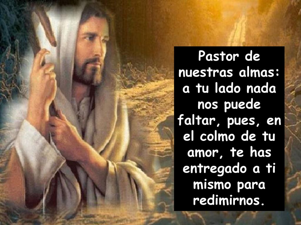 Pastor de nuestras almas: a tu lado nada nos puede faltar, pues, en el colmo de tu amor, te has entregado a ti mismo para redimirnos.
