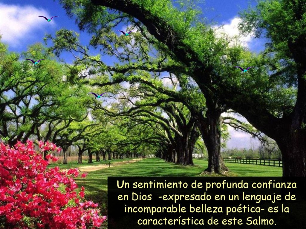 Un sentimiento de profunda confianza en Dios -expresado en un lenguaje de incomparable belleza poética- es la característica de este Salmo.
