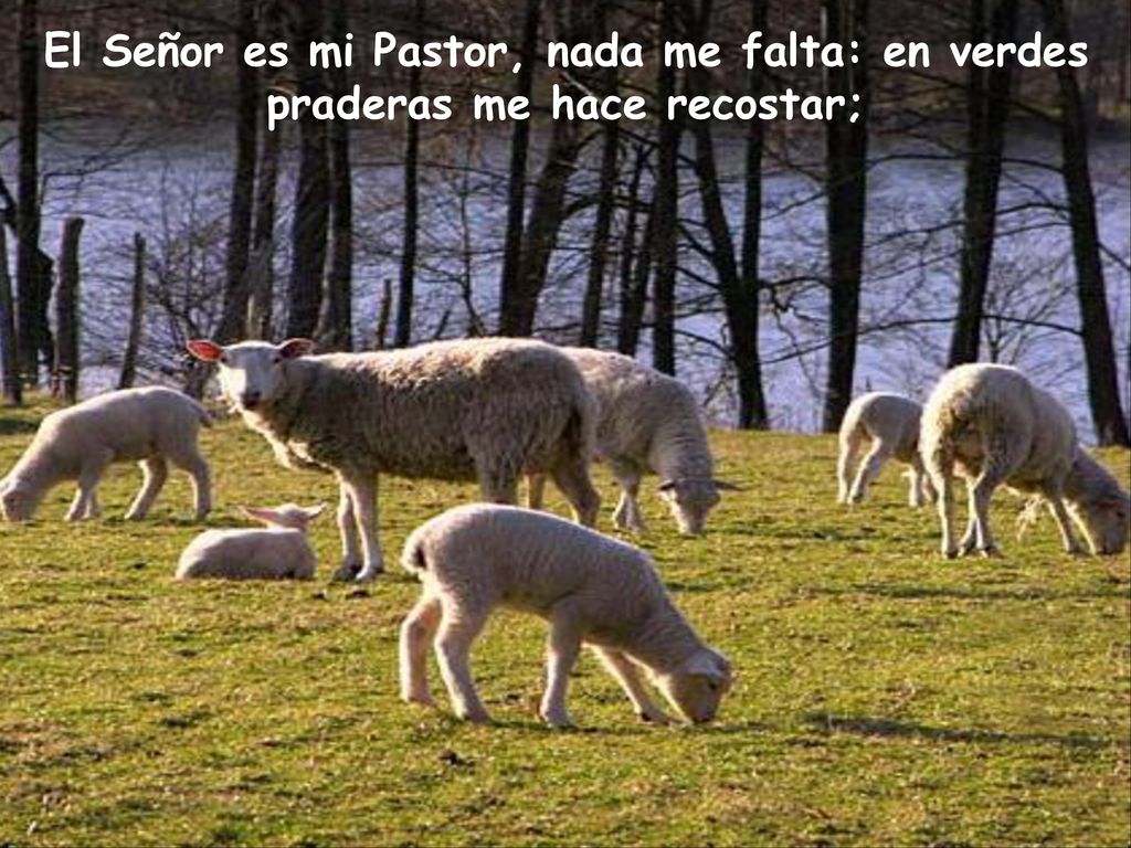 El Señor es mi Pastor, nada me falta: en verdes praderas me hace recostar;
