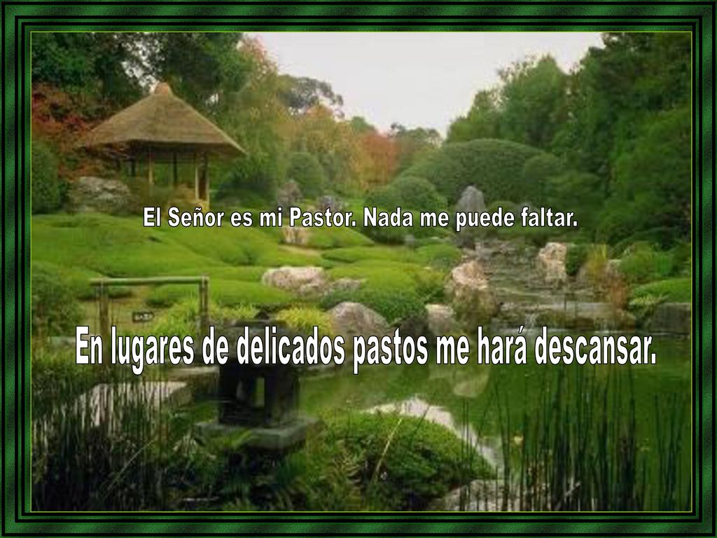 El Señor es mi Pastor. Nada me puede faltar.