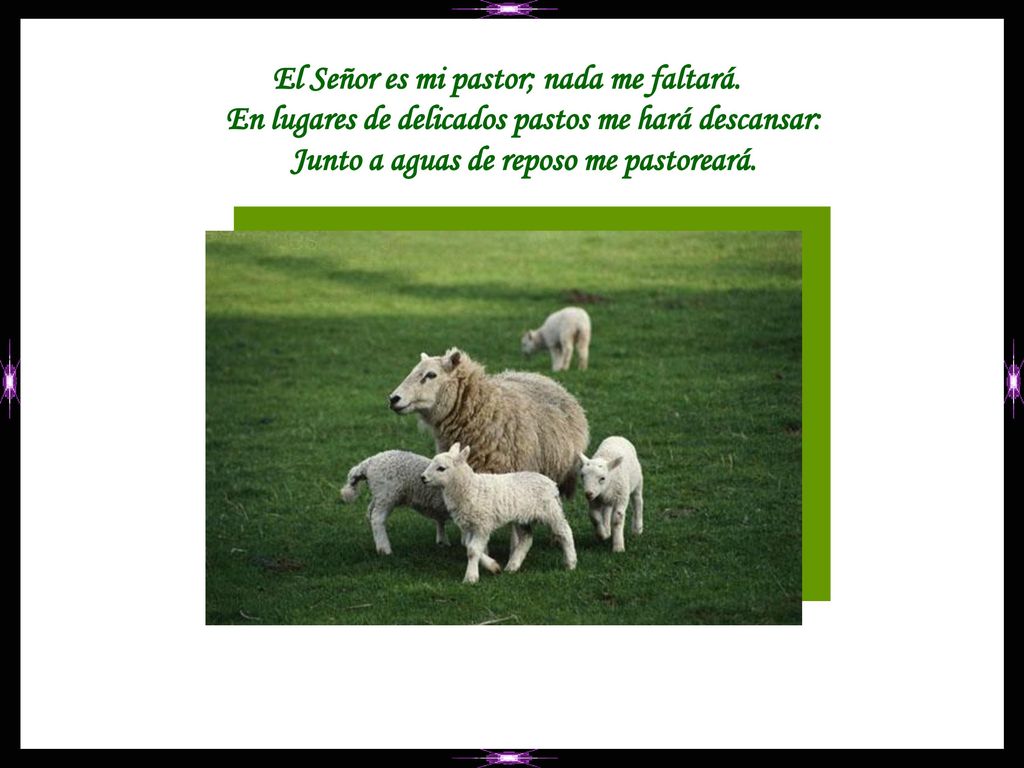 El Señor es mi pastor; nada me faltará.