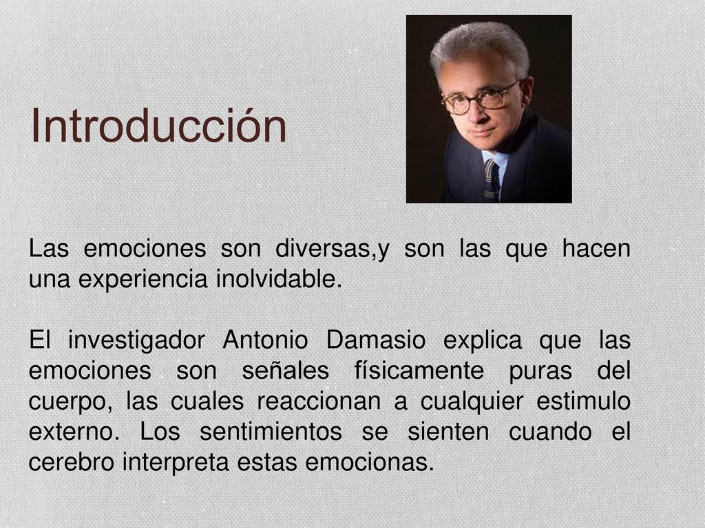 Introducción Las emociones son diversas,y son las que hacen una experiencia inolvidable.
