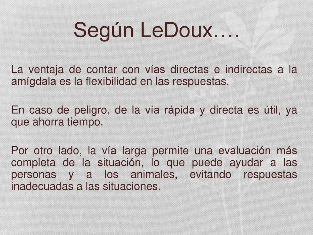 Según LeDoux…. La ventaja de contar con vías directas e indirectas a la amígdala es la flexibilidad en las respuestas.