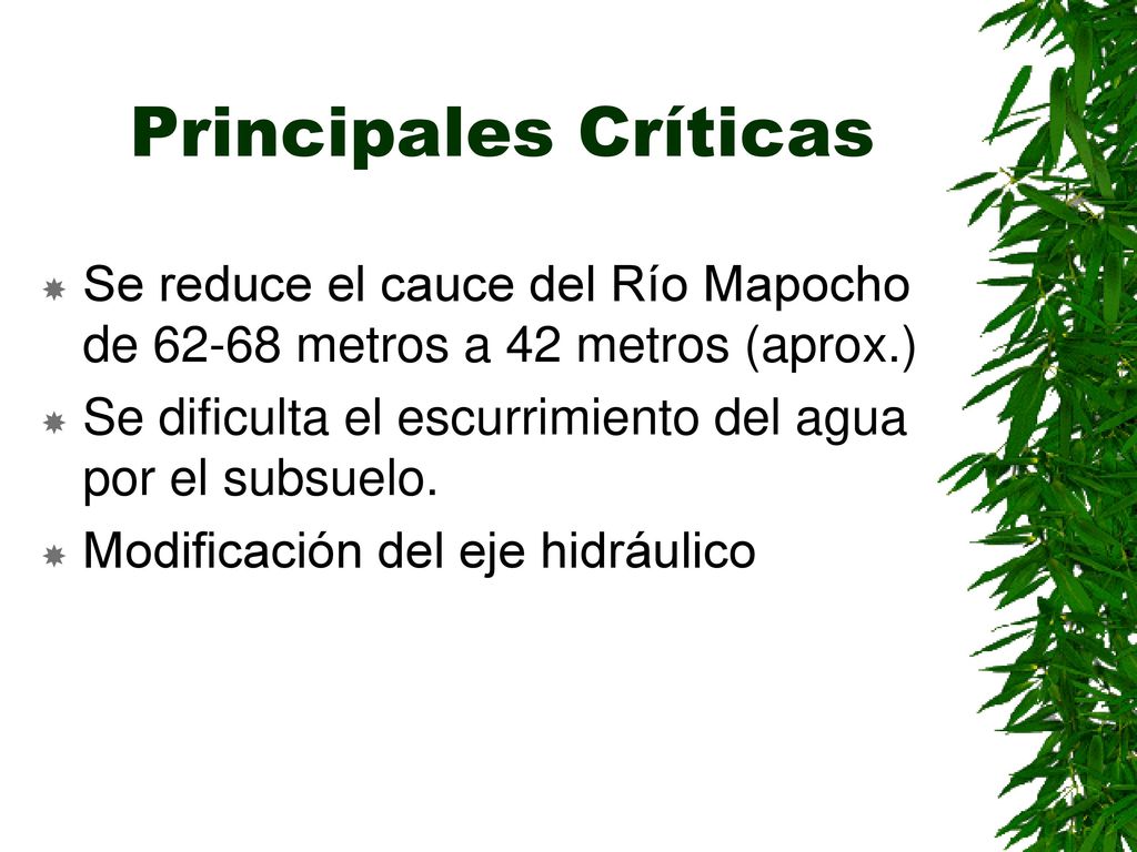 Principales Críticas Se reduce el cauce del Río Mapocho de metros a 42 metros (aprox.) Se dificulta el escurrimiento del agua por el subsuelo.