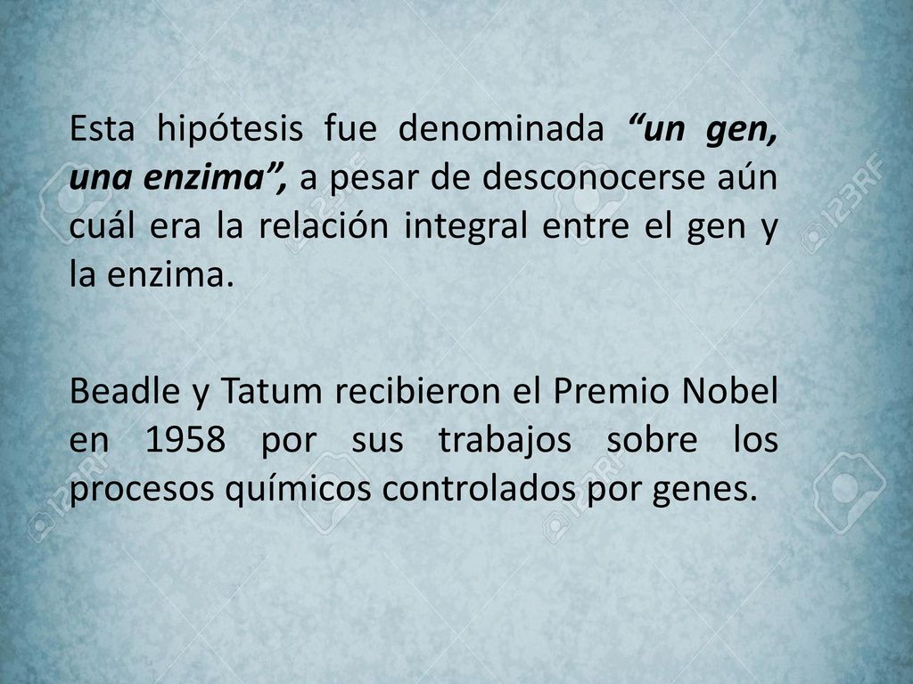 Esta hipótesis fue denominada un gen, una enzima , a pesar de desconocerse aún cuál era la relación integral entre el gen y la enzima.