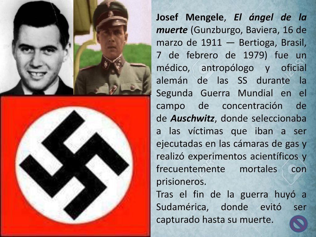 Josef Mengele, El ángel de la muerte (Gunzburgo, Baviera, 16 de marzo de 1911 — Bertioga, Brasil, 7 de febrero de 1979) fue un médico, antropólogo y oficial alemán de las SS durante la Segunda Guerra Mundial en el campo de concentración de de Auschwitz, donde seleccionaba a las víctimas que iban a ser ejecutadas en las cámaras de gas y realizó experimentos acientíficos y frecuentemente mortales con prisioneros.