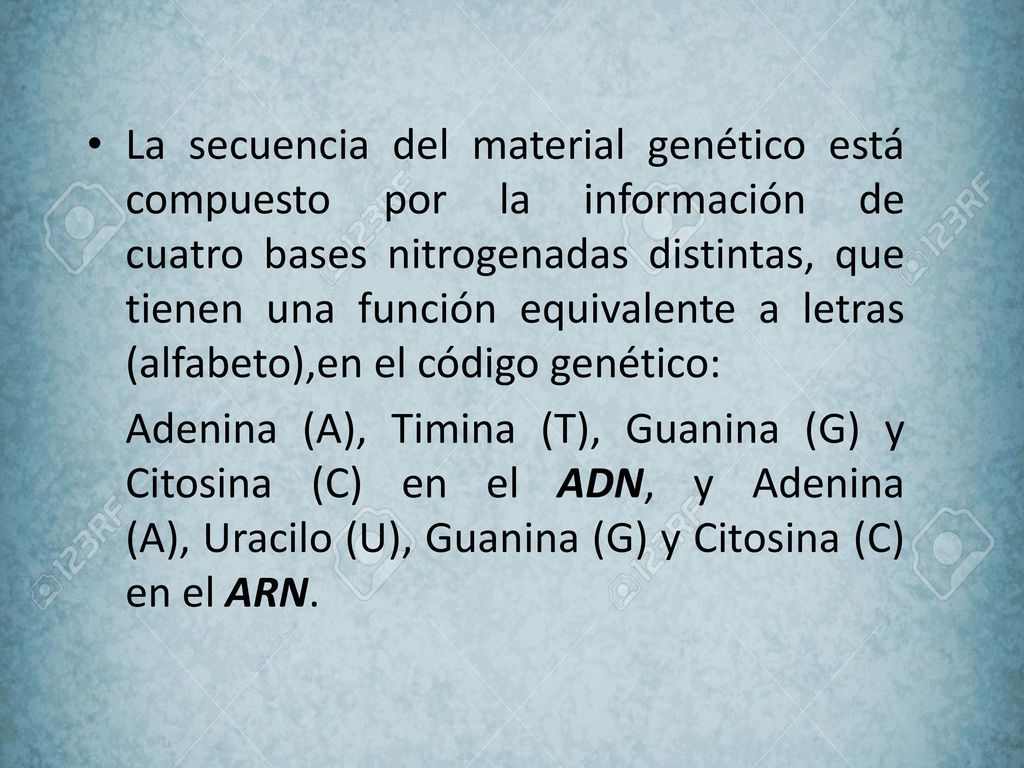 La secuencia del material genético está compuesto por la información de cuatro bases nitrogenadas distintas, que tienen una función equivalente a letras (alfabeto),en el código genético: