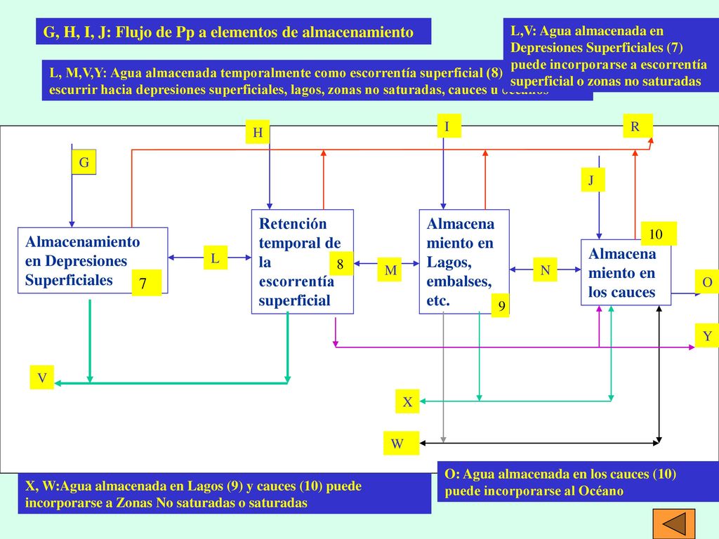 G, H, I, J: Flujo de Pp a elementos de almacenamiento