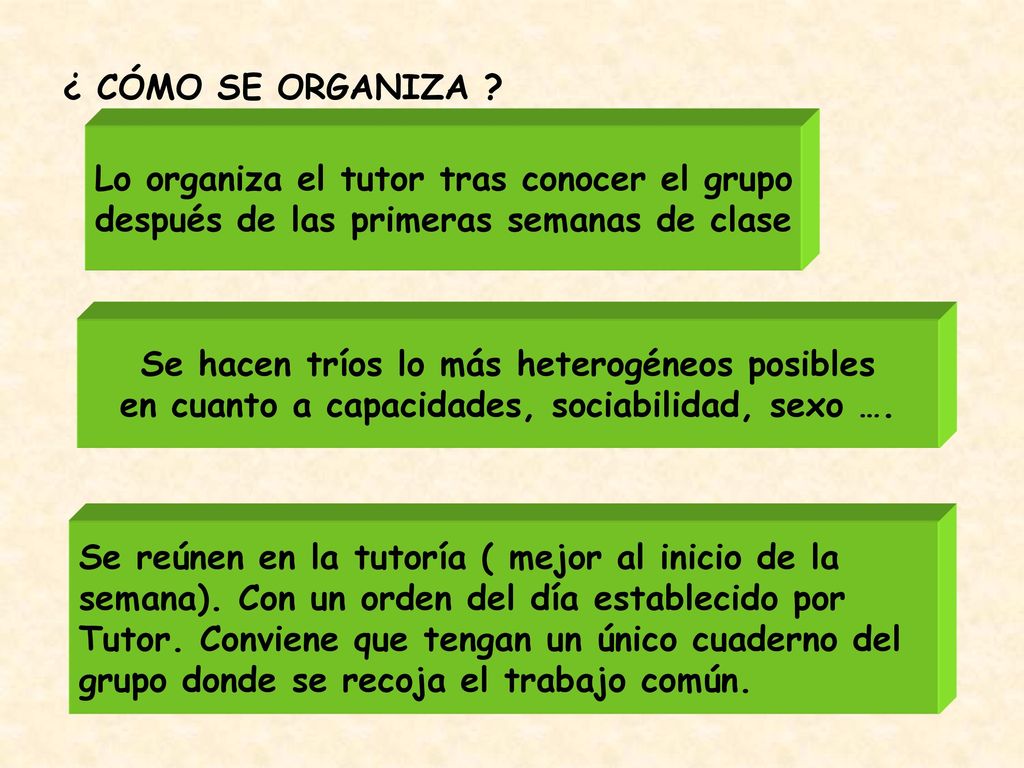 Lo organiza el tutor tras conocer el grupo