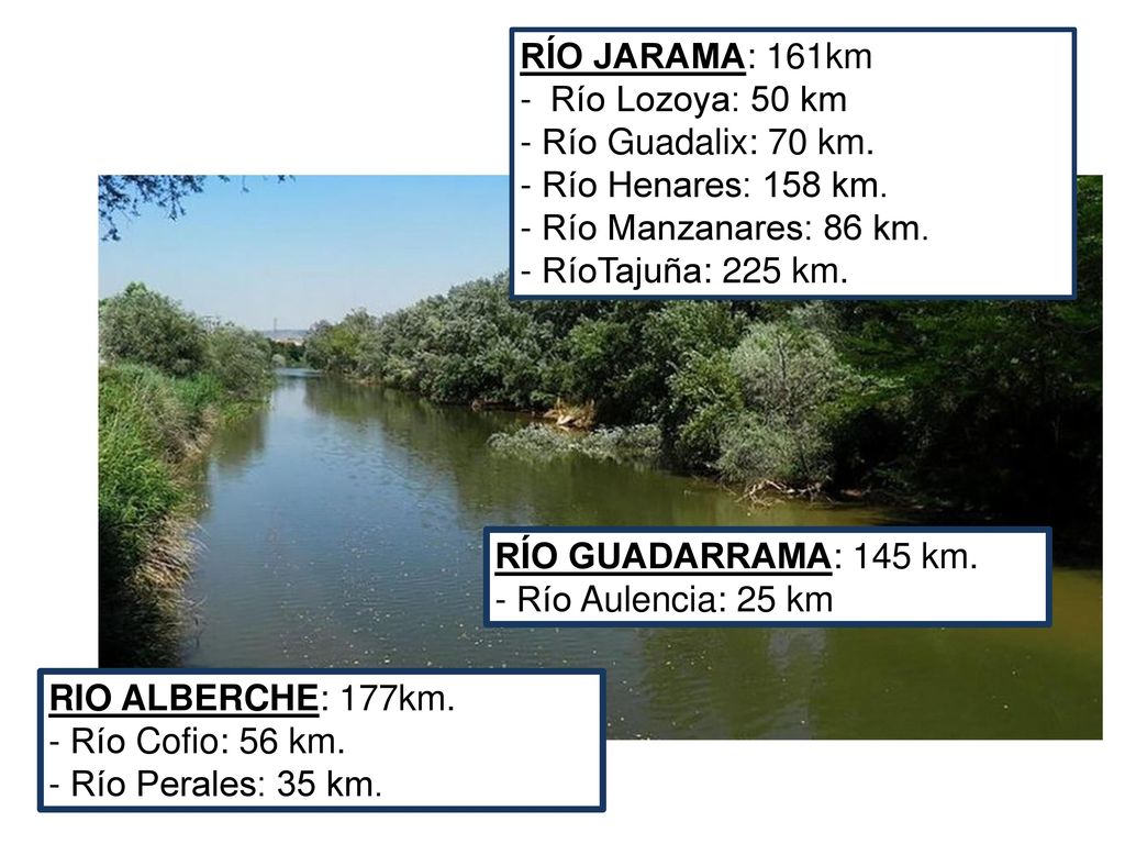 RÍO JARAMA: 161km Río Lozoya: 50 km. - Río Guadalix: 70 km. - Río Henares: 158 km. - Río Manzanares: 86 km.