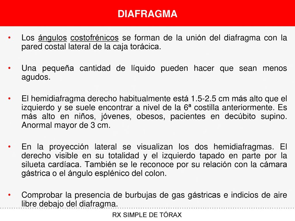 DIAFRAGMA Los ángulos costofrénicos se forman de la unión del diafragma con la pared costal lateral de la caja torácica.