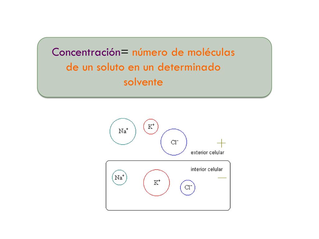 Concentración= número de moléculas de un soluto en un determinado solvente