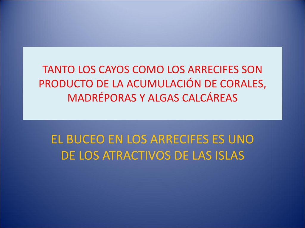 EL BUCEO EN LOS ARRECIFES ES UNO DE LOS ATRACTIVOS DE LAS ISLAS