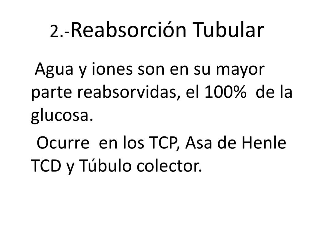 Ocurre en los TCP, Asa de Henle TCD y Túbulo colector.