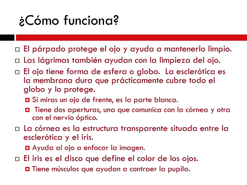 ¿Cómo funciona El párpado protege el ojo y ayuda a mantenerlo limpio.