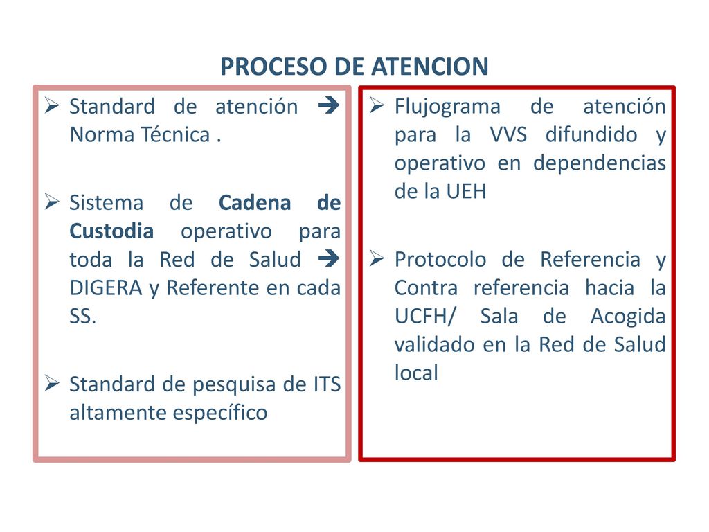PROCESO DE ATENCION Standard de atención  Norma Técnica .