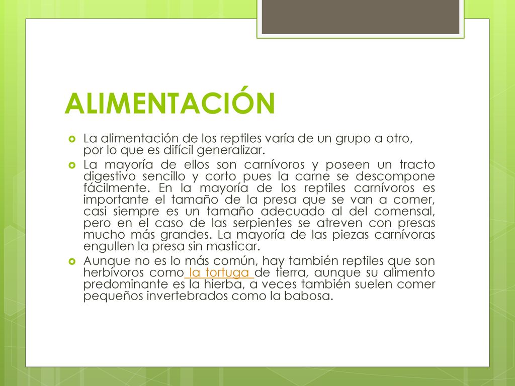 ALIMENTACIÓN La alimentación de los reptiles varía de un grupo a otro, por lo que es difícil generalizar.