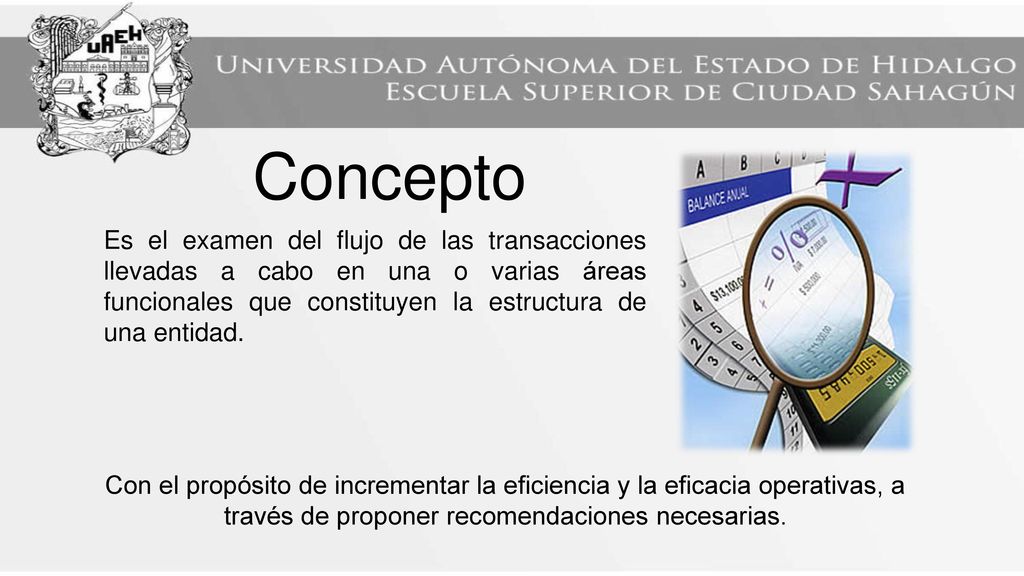 Concepto Es el examen del flujo de las transacciones llevadas a cabo en una o varias áreas funcionales que constituyen la estructura de una entidad.