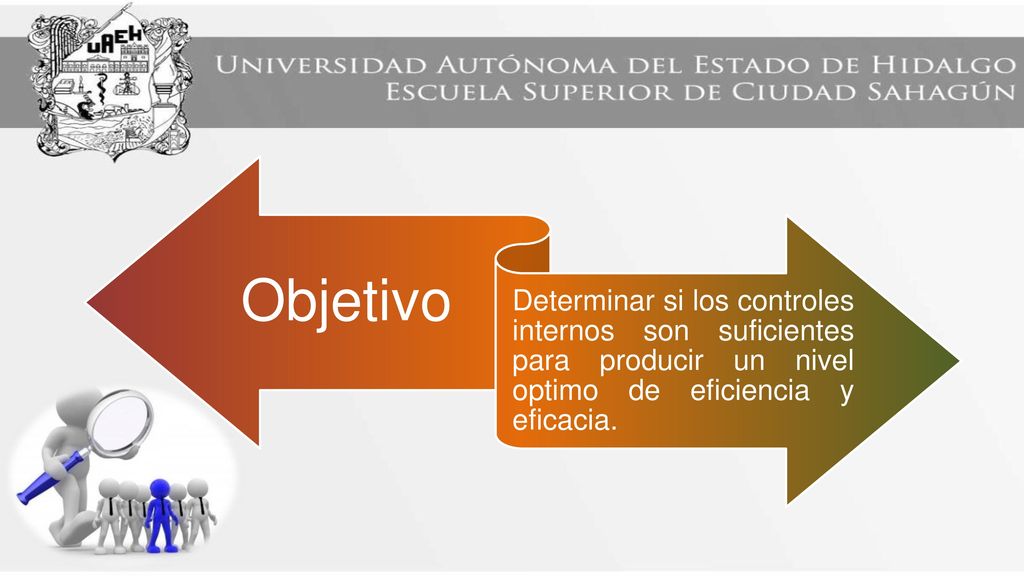 Objetivo Determinar si los controles internos son suficientes para producir un nivel optimo de eficiencia y eficacia.