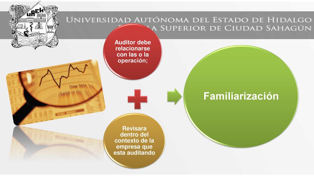 Familiarización Auditor debe relacionarse con las o la operación;