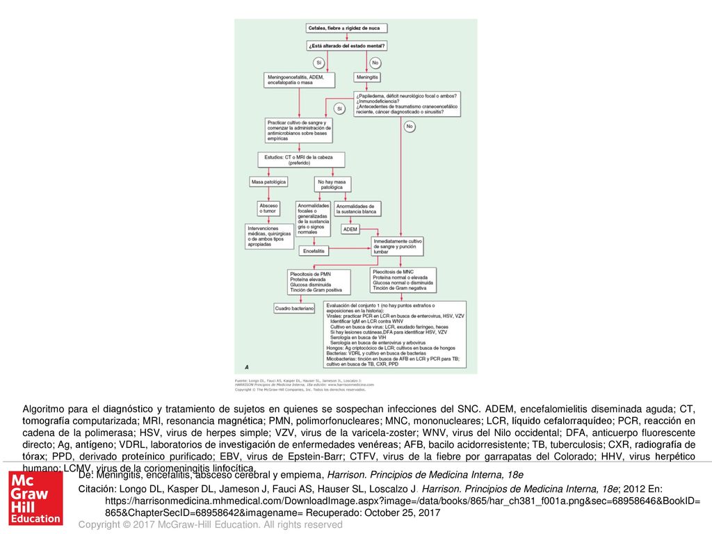 Algoritmo para el diagnóstico y tratamiento de sujetos en quienes se sospechan infecciones del SNC. ADEM, encefalomielitis diseminada aguda; CT, tomografía computarizada; MRI, resonancia magnética; PMN, polimorfonucleares; MNC, mononucleares; LCR, líquido cefalorraquídeo; PCR, reacción en cadena de la polimerasa; HSV, virus de herpes simple; VZV, virus de la varicela-zoster; WNV, virus del Nilo occidental; DFA, anticuerpo fluorescente directo; Ag, antígeno; VDRL, laboratorios de investigación de enfermedades venéreas; AFB, bacilo acidorresistente; TB, tuberculosis; CXR, radiografía de tórax; PPD, derivado proteínico purificado; EBV, virus de Epstein-Barr; CTFV, virus de la fiebre por garrapatas del Colorado; HHV, virus herpético humano; LCMV, virus de la coriomeningitis linfocítica.