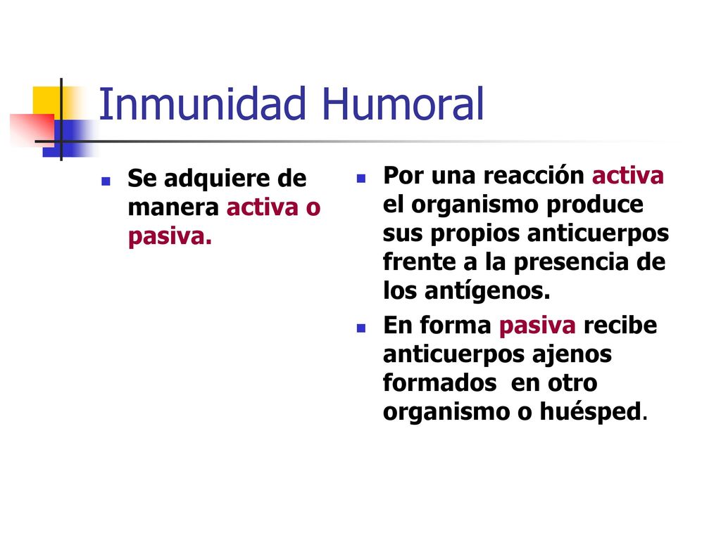 Inmunidad Humoral Se adquiere de manera activa o pasiva.