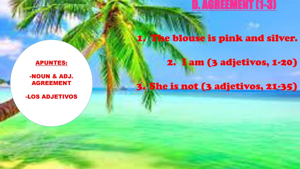 D. AGREEMENT (1-3) 1. The blouse is pink and silver.