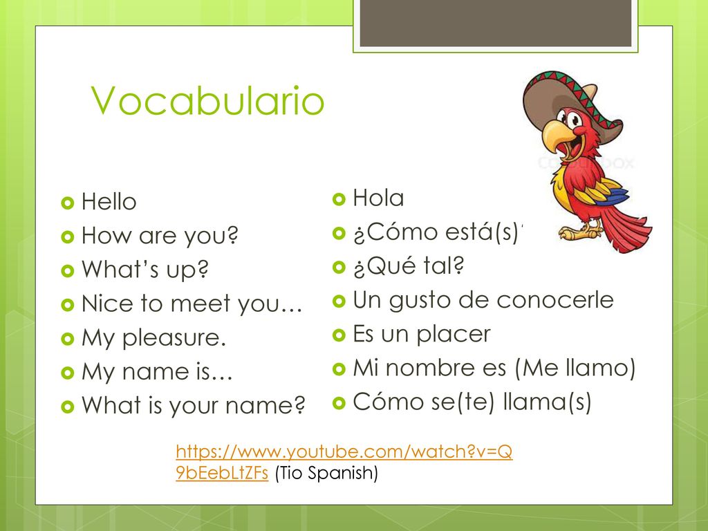 Vocabulario Hola Hello ¿Cómo está(s) How are you ¿Qué tal