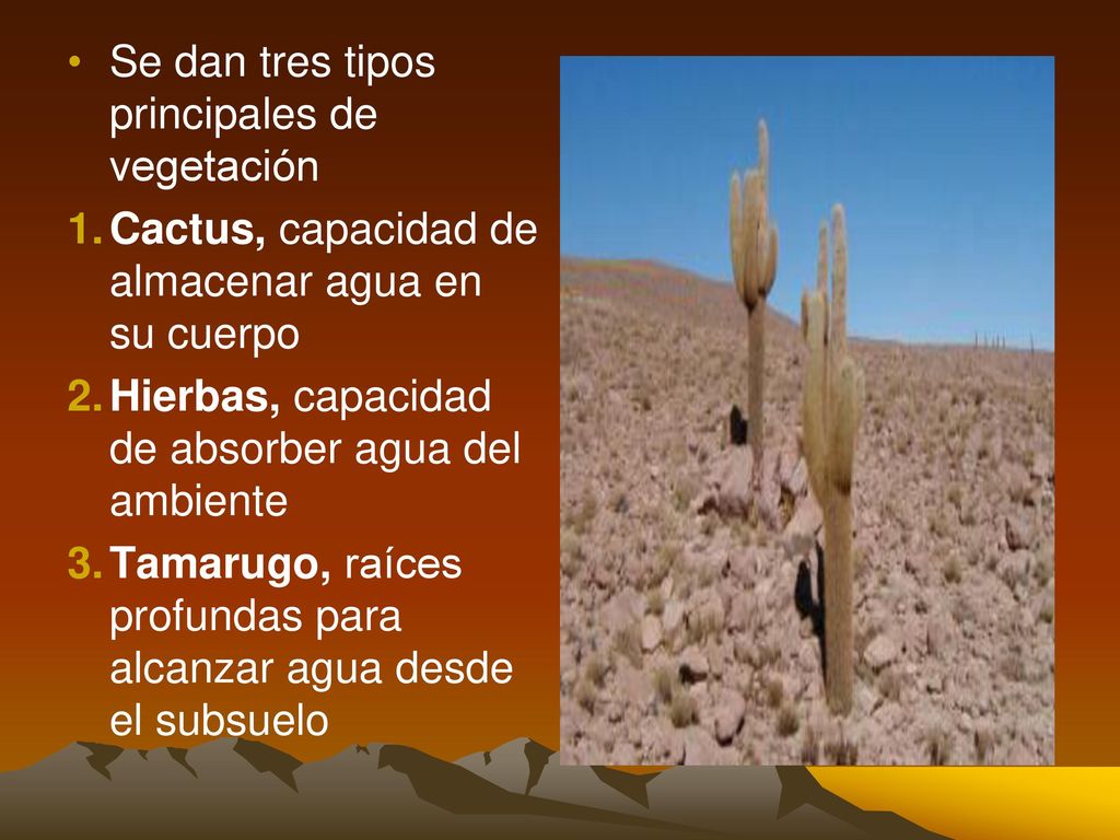Se dan tres tipos principales de vegetación