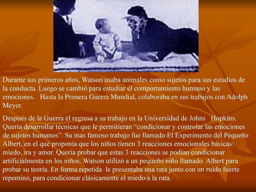 Durante sus primeros años, Watson usaba animales como sujetos para sus estudios de la conducta. Luego se cambió para estudiar el comportamiento humano y las emociones. Hasta la Primera Guerra Mundial, colaboraba en sus trabajos con Adolph Meyer.