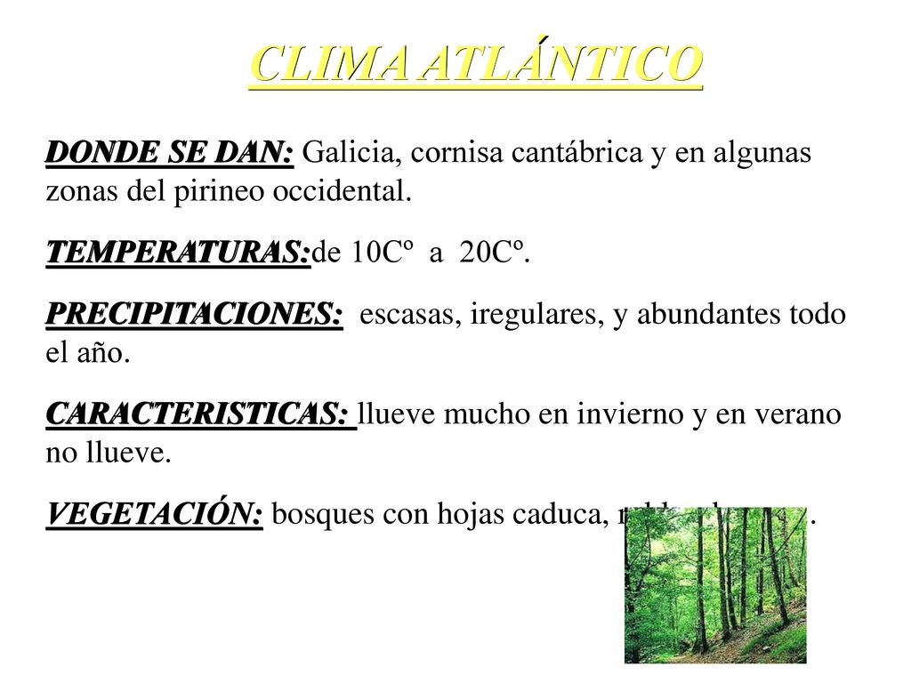 CLIMA ATLÁNTICO DONDE SE DAN: Galicia, cornisa cantábrica y en algunas zonas del pirineo occidental.