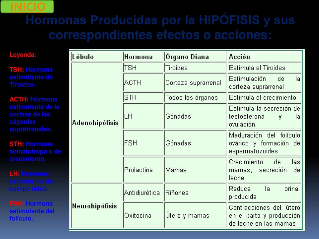 INICIO Hormonas Producidas por la HIPÓFISIS y sus correspondientes efectos o acciones: Leyenda: TSH: Hormona estimulante de Tiroides.