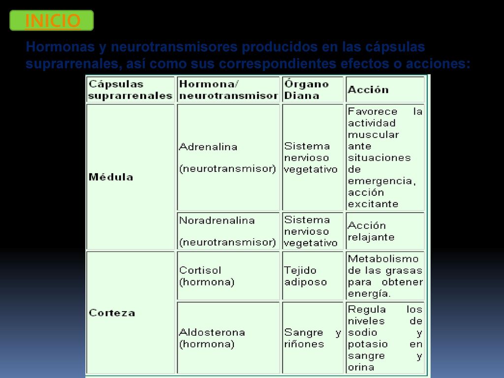 INICIO Hormonas y neurotransmisores producidos en las cápsulas suprarrenales, así como sus correspondientes efectos o acciones: