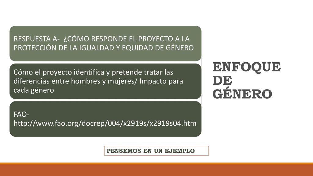 RESPUESTA A- ¿CÓMO RESPONDE EL PROYECTO A LA PROTECCIÓN DE LA IGUALDAD Y EQUIDAD DE GÉNERO