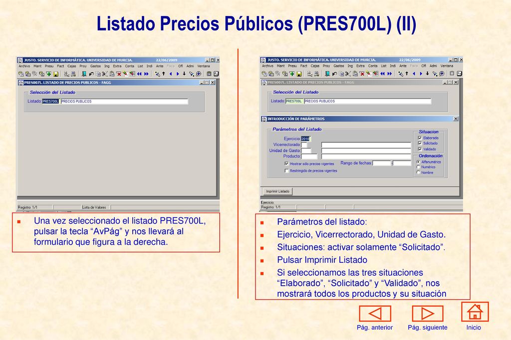 Listado Precios Públicos (PRES700L) (II)