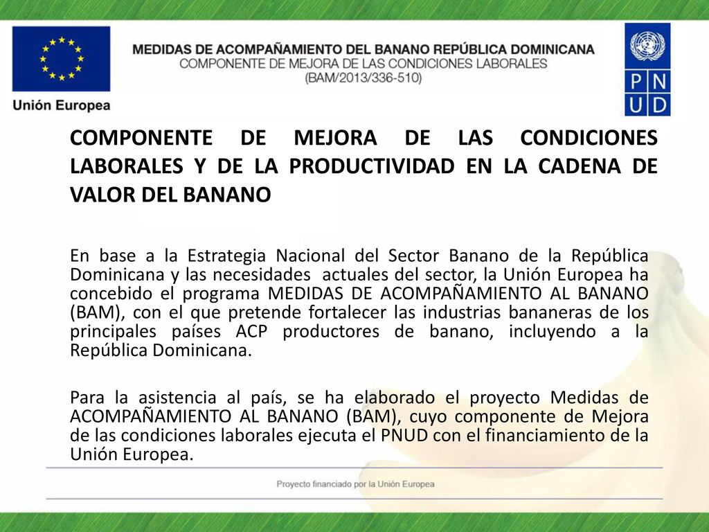 COMPONENTE DE MEJORA DE LAS CONDICIONES LABORALES Y DE LA PRODUCTIVIDAD EN LA CADENA DE VALOR DEL BANANO