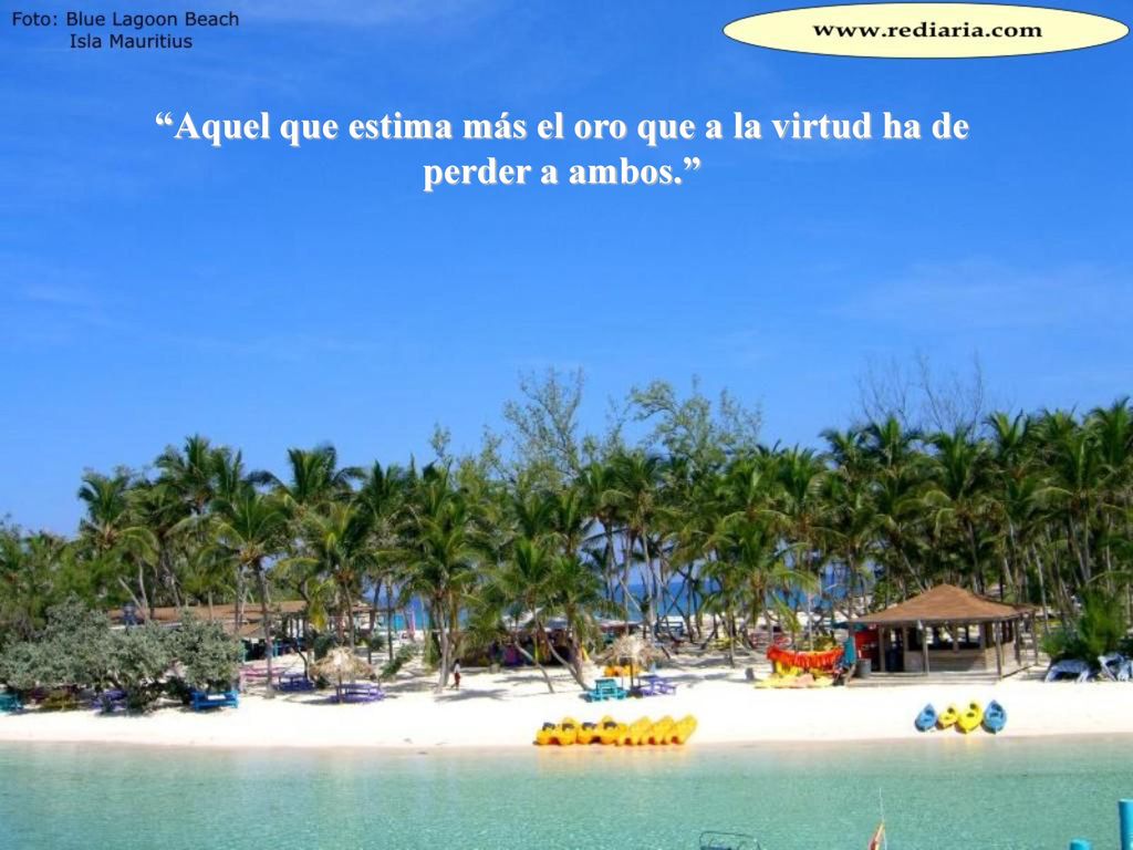 Aquel que estima más el oro que a la virtud ha de perder a ambos.