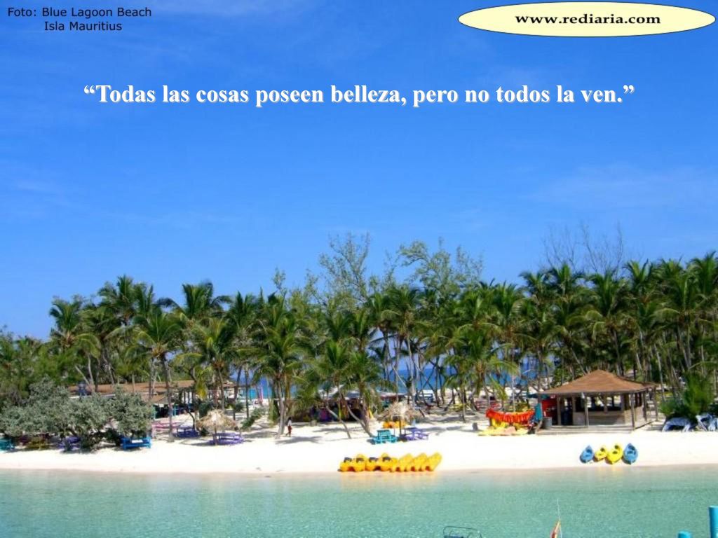 Todas las cosas poseen belleza, pero no todos la ven.