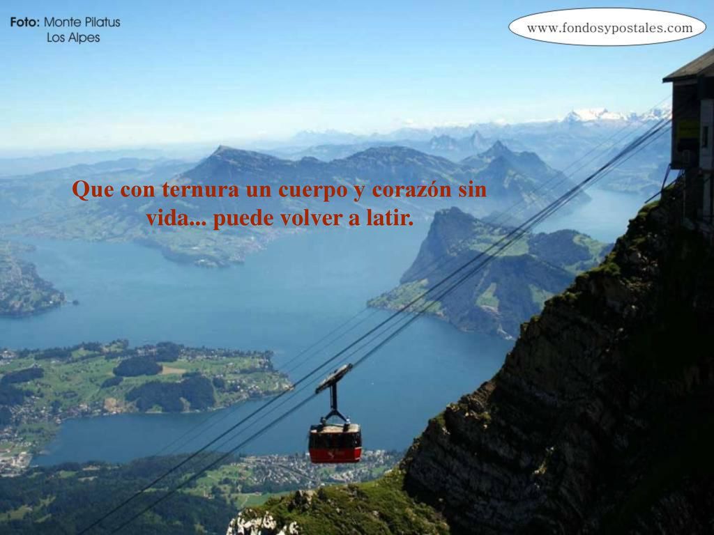 Que con ternura un cuerpo y corazón sin vida... puede volver a latir.