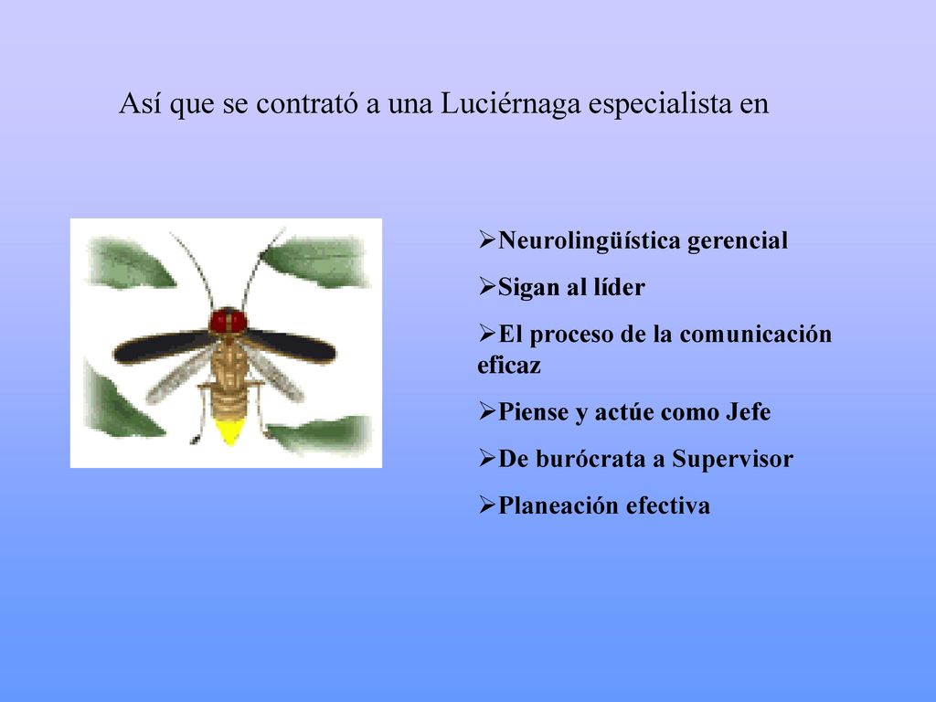 Así que se contrató a una Luciérnaga especialista en