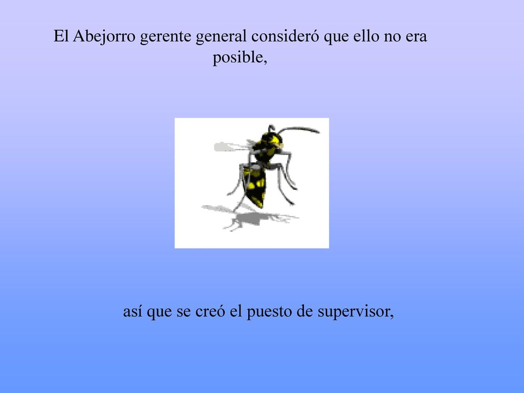 El Abejorro gerente general consideró que ello no era posible,
