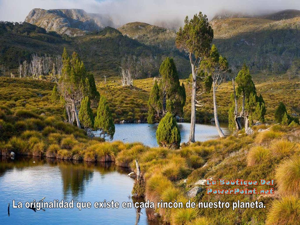 La originalidad que existe en cada rincón de nuestro planeta.