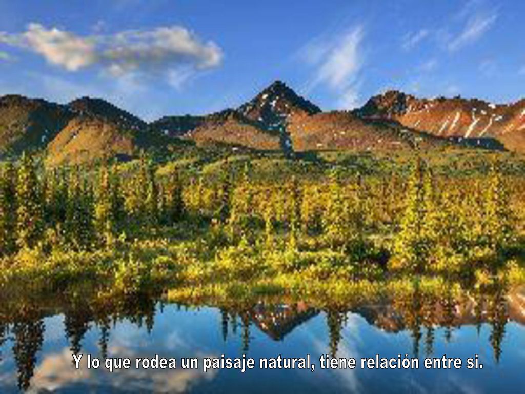 Y lo que rodea un paisaje natural, tiene relación entre si.