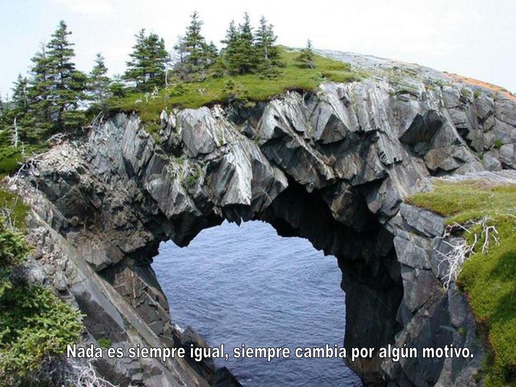 Nada es siempre igual, siempre cambia por algún motivo.