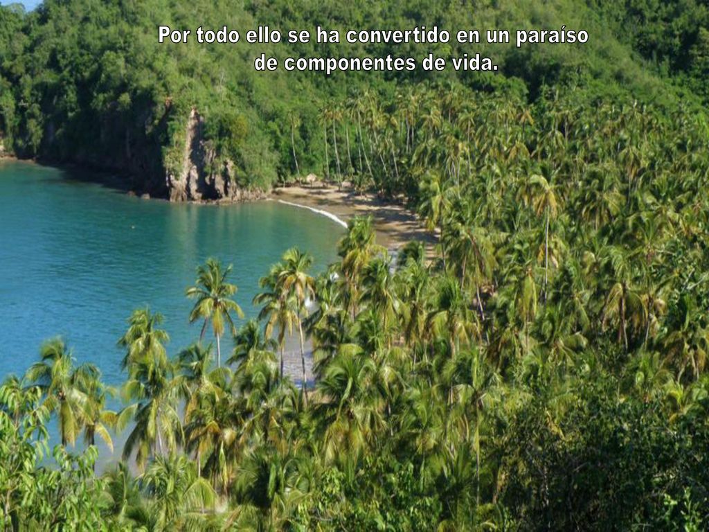 Por todo ello se ha convertido en un paraíso