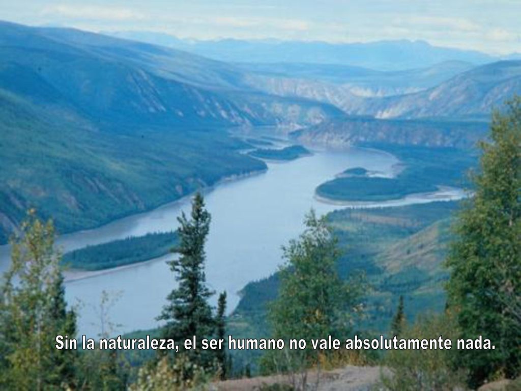 Sin la naturaleza, el ser humano no vale absolutamente nada.