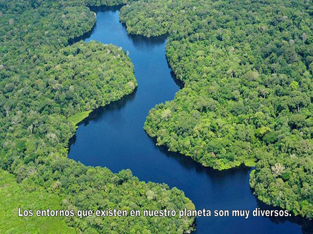 Los entornos que existen en nuestro planeta son muy diversos.