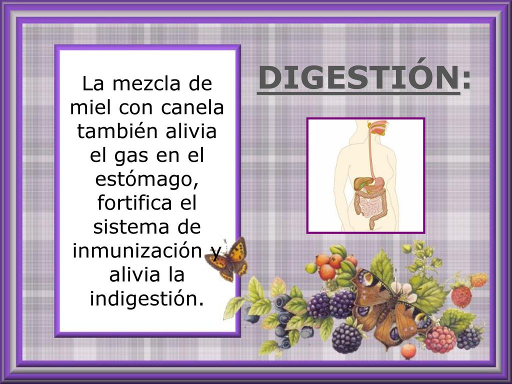 La mezcla de miel con canela también alivia el gas en el estómago, fortifica el sistema de inmunización y alivia la indigestión.