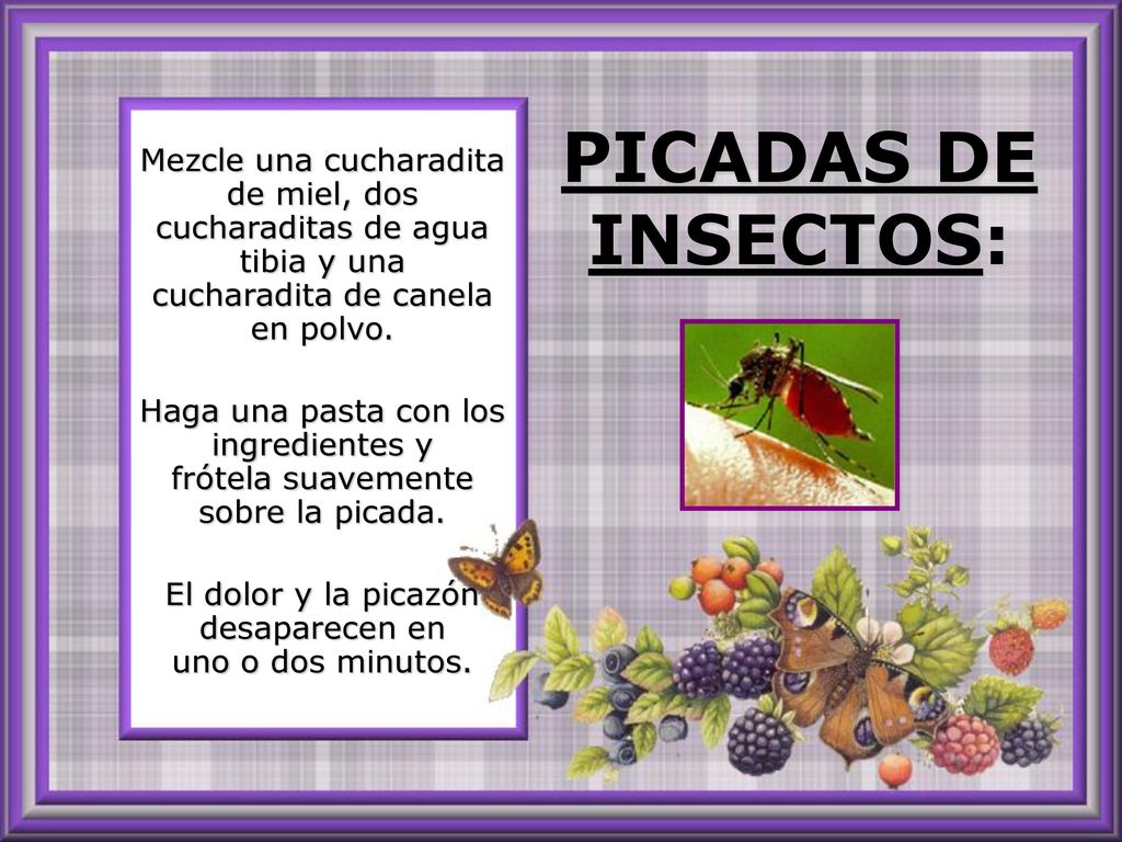 El dolor y la picazón desaparecen en uno o dos minutos.
